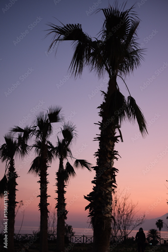 Fototapeta premium Sunset silhouettes