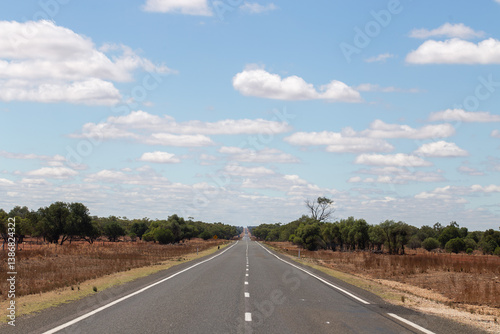 Feral goats roaming near a rural Australian highway, surrounded by native bushland under a clear blue sky