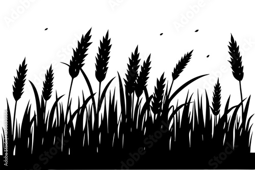 Wheat field plant silhouette