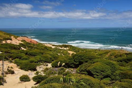 stunning view of the coast and tasman sea on a sunny summer day while hiking the signal station trach om the west coast of the north island of new zealand, near omapere