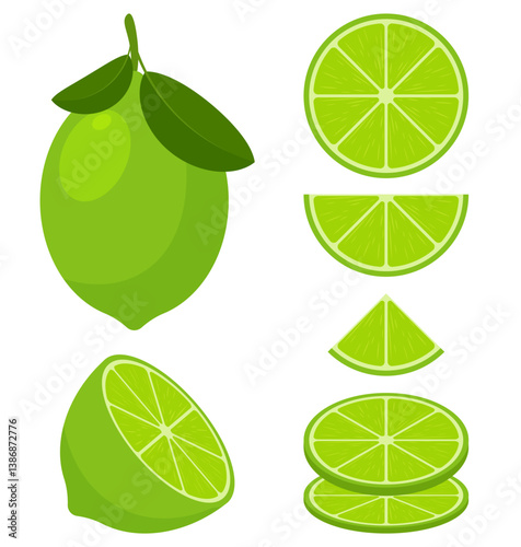 Set of green line whole and slice clipart illustration cartoon