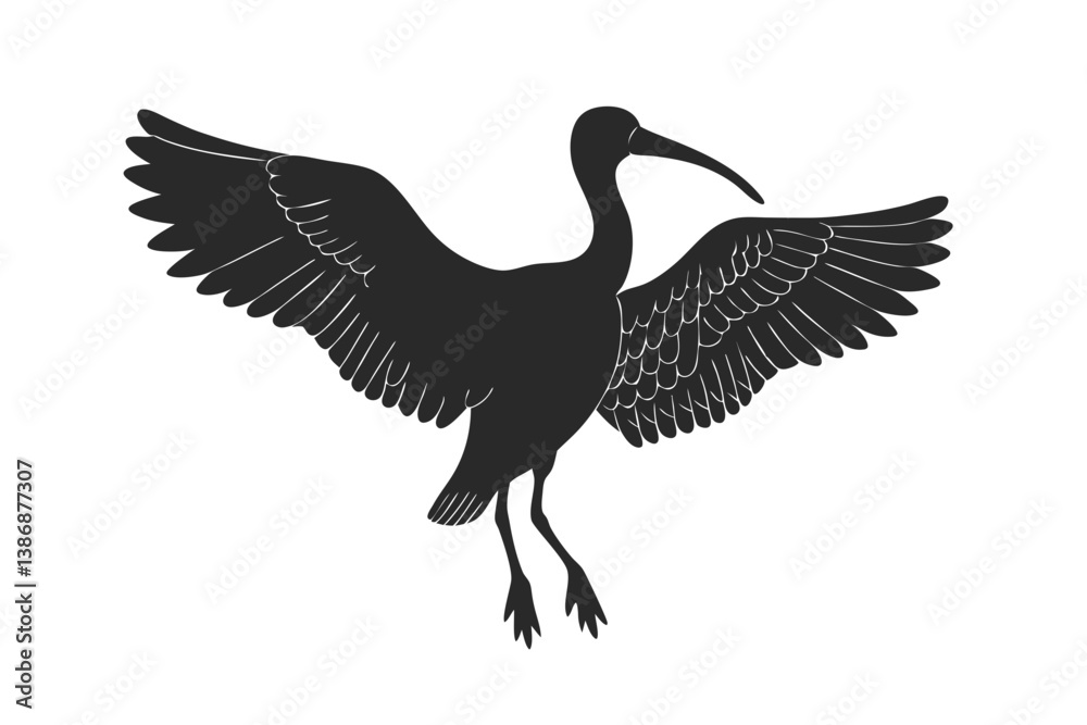 Fototapeta premium Eudocimus Bird silhouette vector illustration