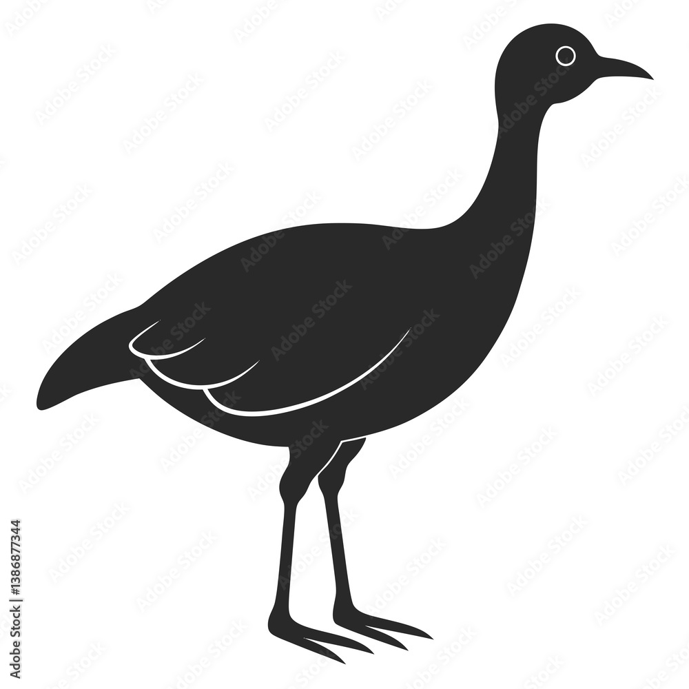 Fototapeta premium Eudocimus Bird silhouette vector illustration