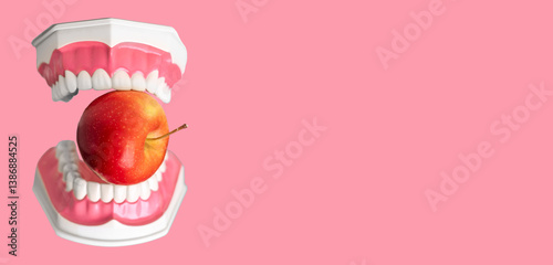 Dentistry concept. Artificial teeth biting red apple, symbol of healthy mouth, strong denture, oral care, vitamin food, whitening, good odontology and medical stomatology. background..