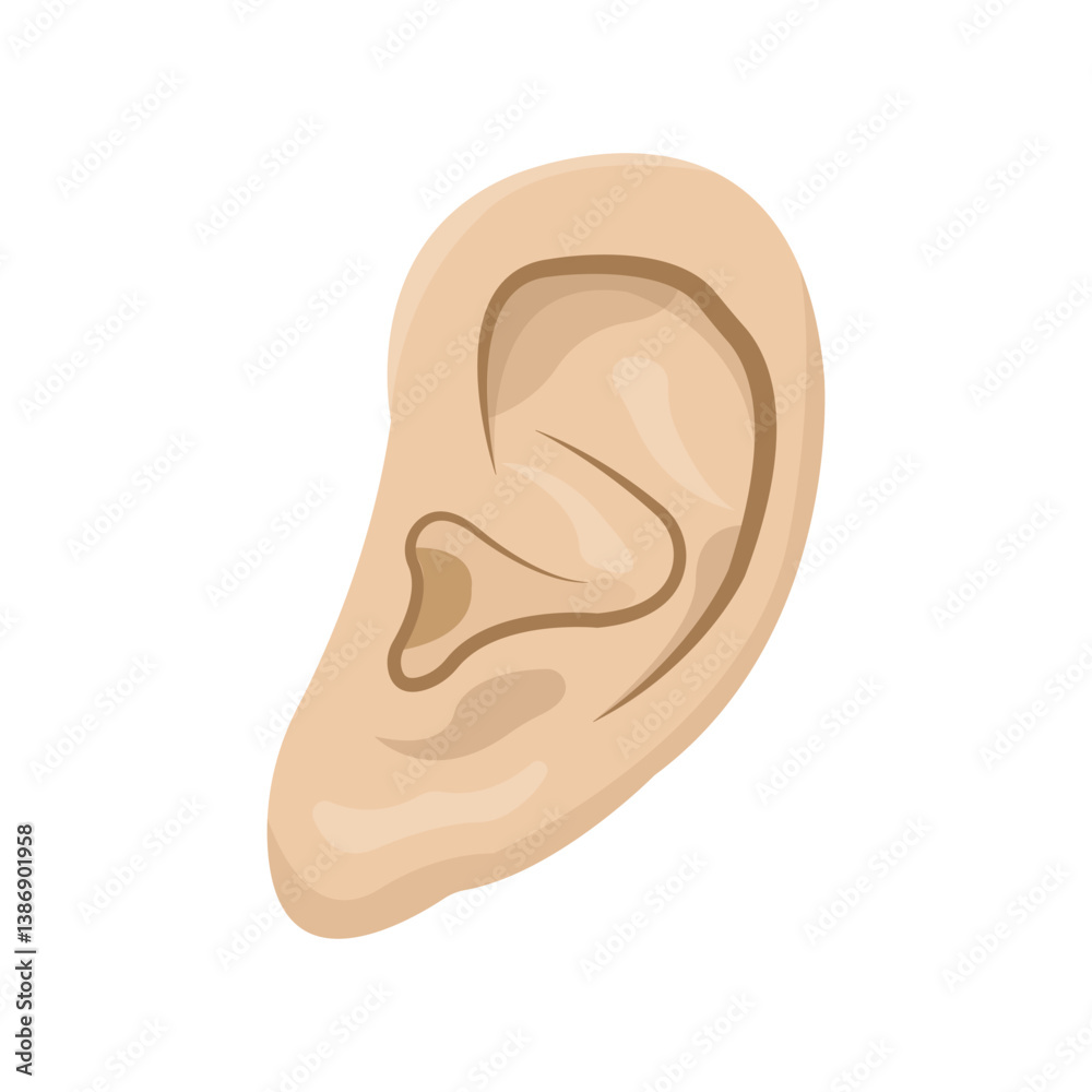 human earlobe vector illustration with flat carton design human earlobe vector illustration with flat carton design