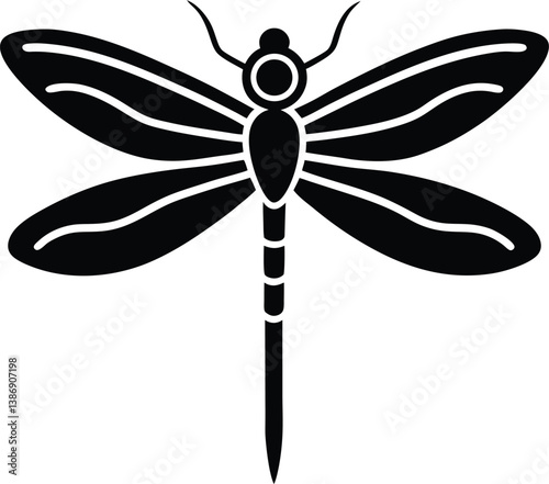dragonfly vector illustration
