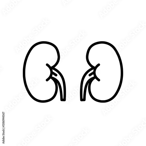 Kidney Outline: Illustrative image of the kidney is depicted with a clean and concise outline in a health and medical setting.