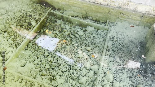 落ち葉が浮かぶ透明な白旗源泉の湧き出し口（草津温泉）