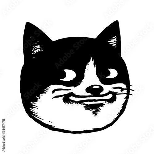 Funny Cat Face