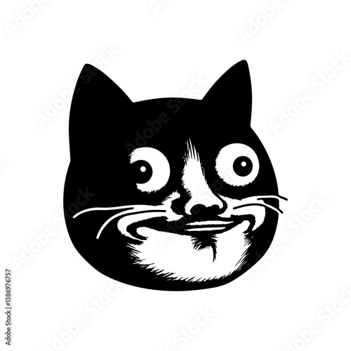 Funny Cat Face