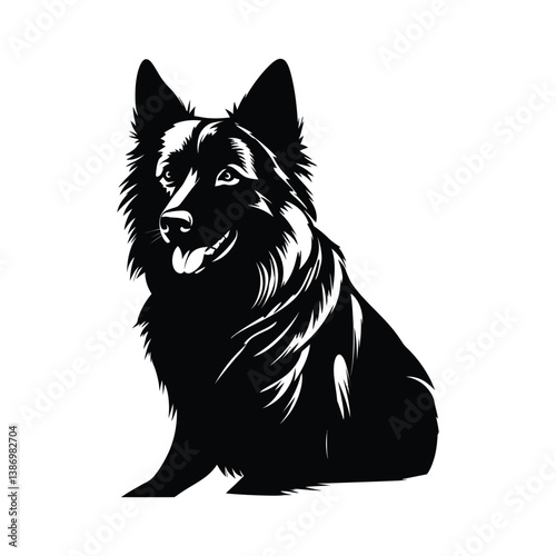 Yakutian Laika black color on isolated white background