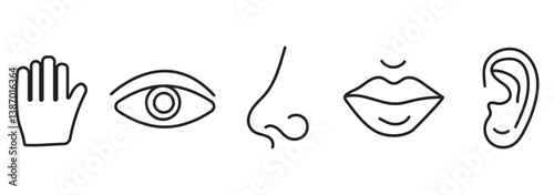 Five Senses line icons Five senses icon, representing the senses: eye (sight), nose (smell), ear (hearing), tongue (taste), and hand (touch) - ideal for web design education 