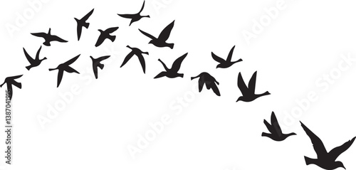 Graceful Bird Soaring Across a Clear Blue Sky

Silhouette of a Bird in Flight Against the Sunset

Wild Bird Flying Freely in the Open Sky

