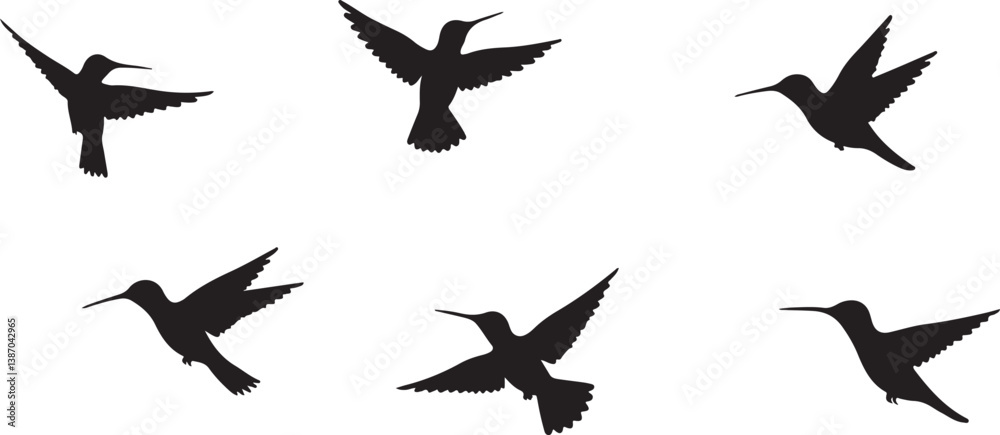 Graceful Bird Soaring Across a Clear Blue Sky

Silhouette of a Bird in Flight Against the Sunset

Wild Bird Flying Freely in the Open Sky

