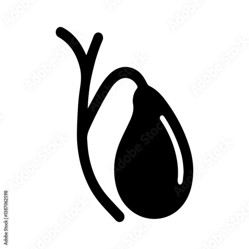 Human gallbladder with connected bile ducts medical vector illustration