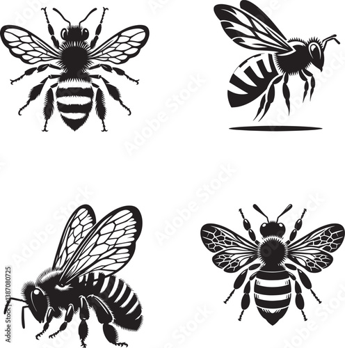Swarm of Honey Bees