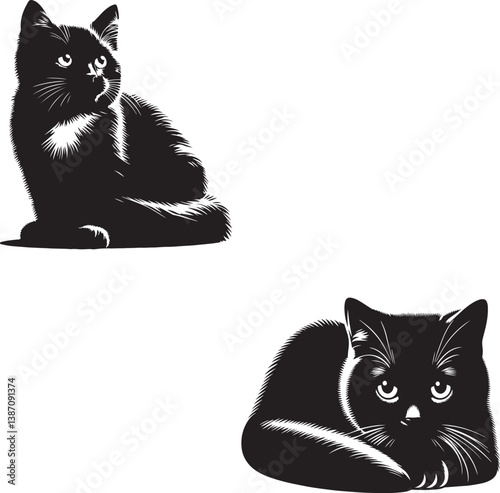 Close-up portrait of a domestic cat
