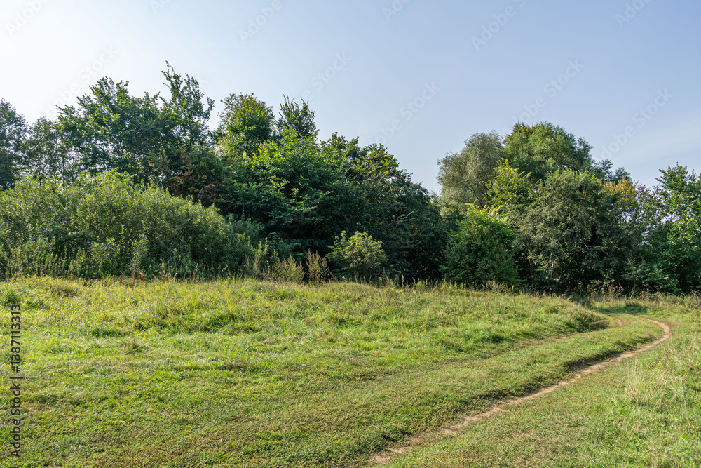 Tranquil image of a road winding through a forest clearing, capturing the serenity of nature. Ideal for nature-themed designs, the scene showing a peaceful journey through the lush greenery. Tranquil image of a road winding through a forest clearing, capturing the serenity of nature. Ideal for nature-themed designs, the scene showing a peaceful journey through the lush greenery.