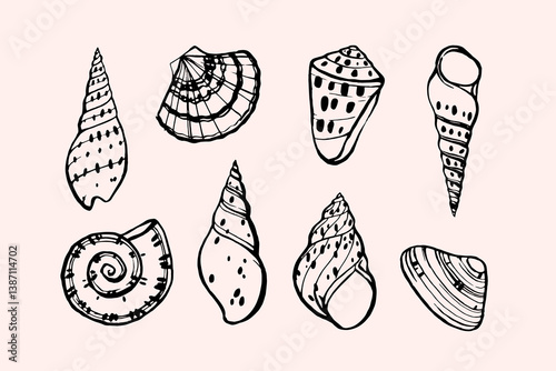 Seashell illustration in hadrdraw style. Stylized vector element for prints, clothing, pattern, packaging and postcards.