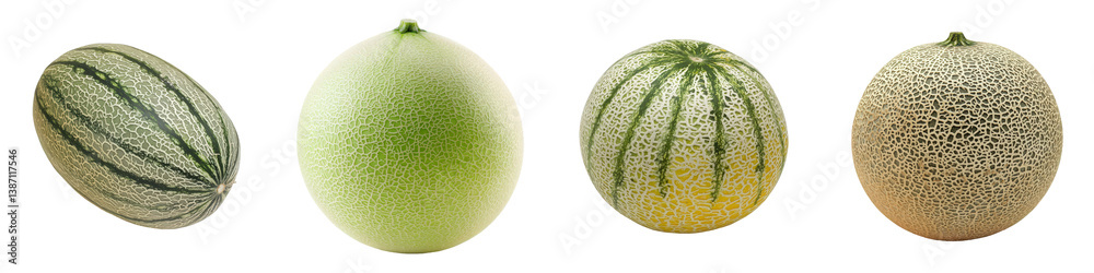 Four whole ripe melons with textured rinds. Four whole ripe melons with textured rinds.