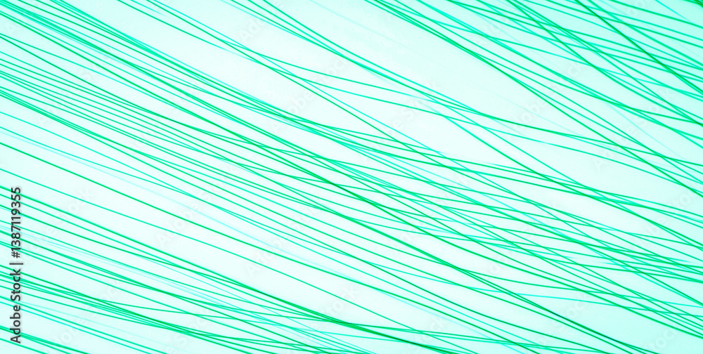 Obraz premium A Grunge Textured Backdrop with a Light Paper Effect 