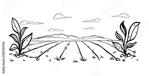Detailed farm field vector illustration. Agricultural landscape with crops, plants, and mountain backdrop.