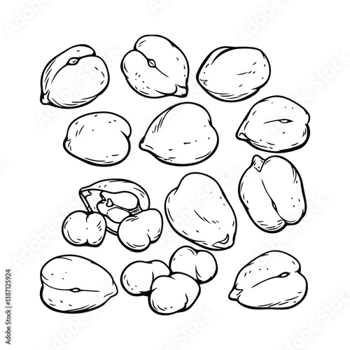 Illustration of chickpea food plant with black line vector icon for graphic projects.