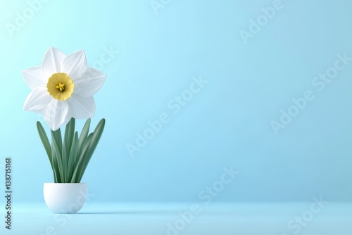 Wallpaper Mural White Daffodil in Simple Pot Torontodigital.ca