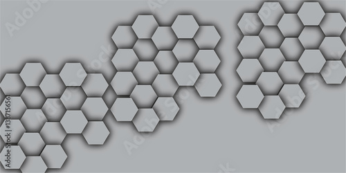 Abstract pattern with hexagonal white and gray  line paper background eometric mesh cell texture. modern futuristic  vector illustration geometry science and technology cover  