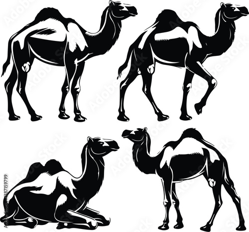 Camel Silhouette Set | Dromedary, Nomadic Travel, and Wildlife Desert Illustration Camels Silhouette Set | Desert Animal, Caravan Travel, and Middle Eastern Vector Collection