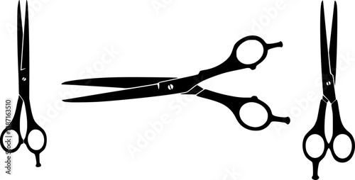 Scissors vector silhouette icon
