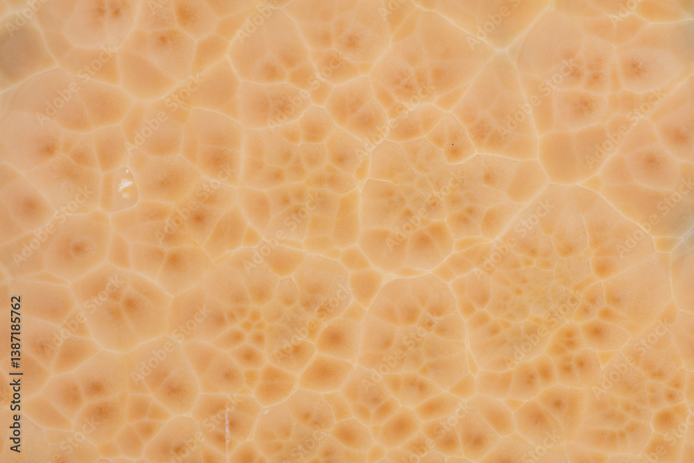 Onice Nuvolato background, excellent texture in stylish beige color.