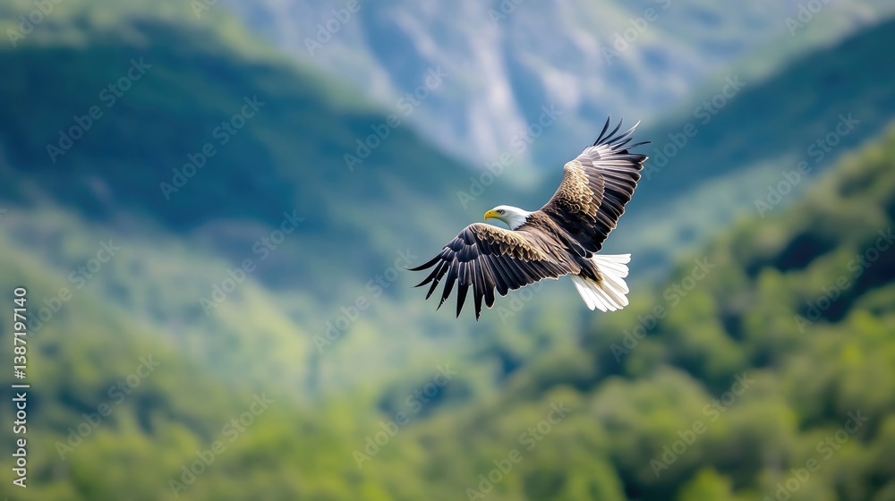 Fototapeta premium Majestic eagle soaring above lush mountains