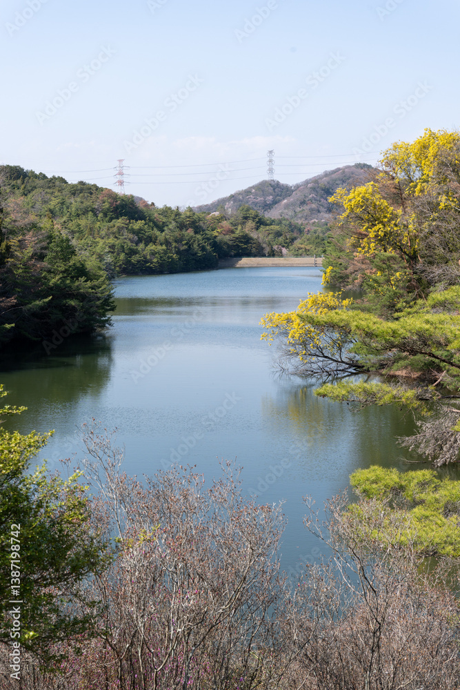 Fototapeta premium 日本の岡山県玉野市の深山公園の美しいヤマツツジ