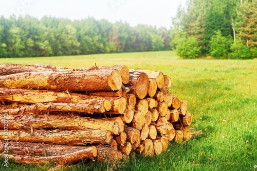 Obraz na płótnie Stacked timber logs beside country road w salonie