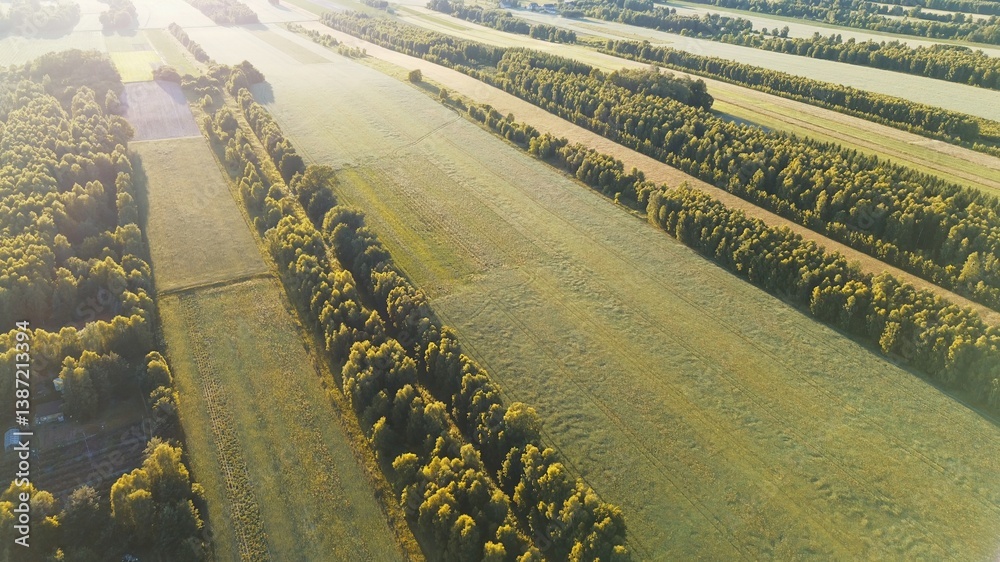 Scenic summer landscape of forest and grassy fields from above