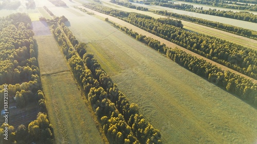 Obraz na płótnie Scenic summer landscape of forest and grassy fields from above w salonie