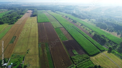 Obraz na płótnie Overhead view of expansive misty forest w salonie