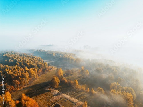 Obraz na płótnie Foggy morning over forested hills w salonie
