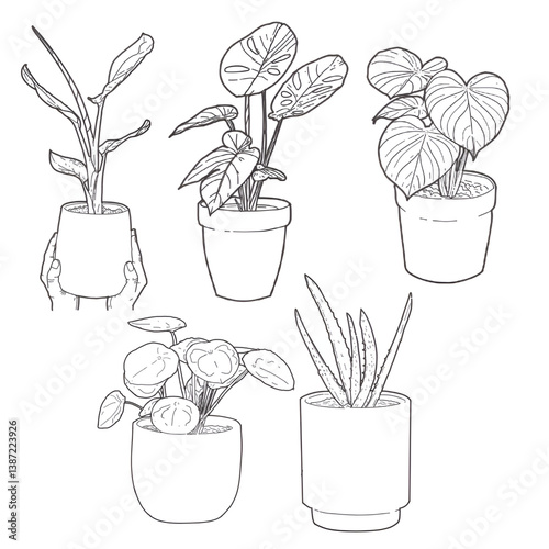 vector line art set of various ornamental plants