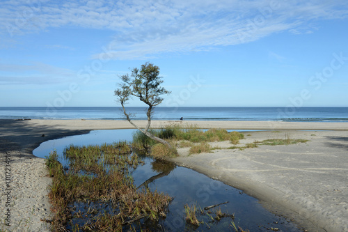 The Baltic Sea coast near Zelenogradsk, Kaliningrad region photo