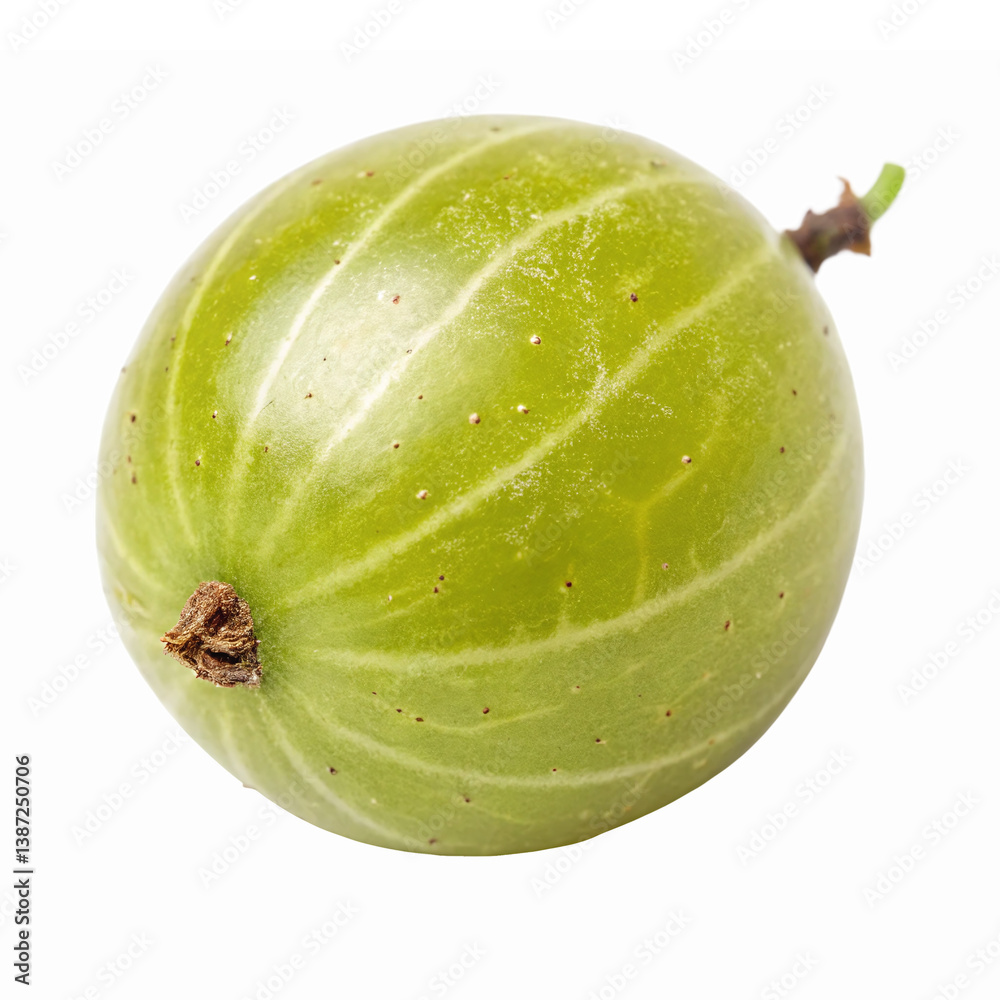 Fresh Green Gooseberry Fruit Isolated On Transparent Background Fresh Green Gooseberry Fruit Isolated On Transparent Background