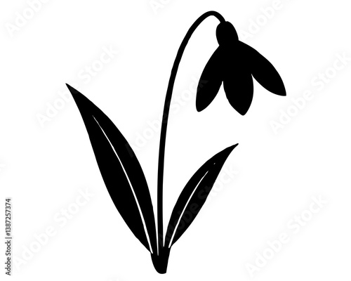 snowdrop flower silhouette vector illustration