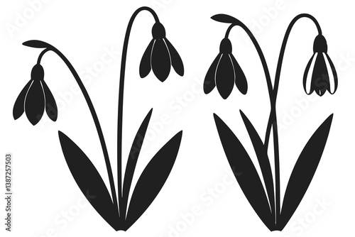 set of snowdrop flower silhouette vector illustration