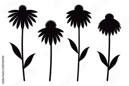 set of coneflower Flower silhouette vector illustration