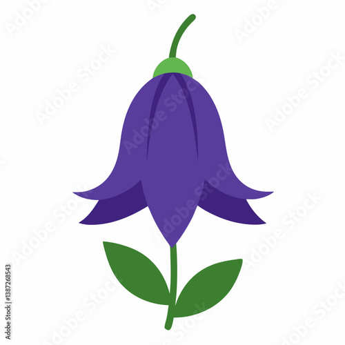 Campanula Flower silhouette vector illustration