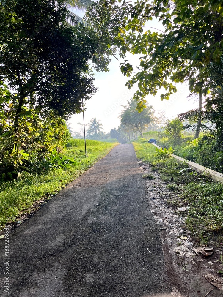 Fototapeta premium bright green rice fields under clear skies