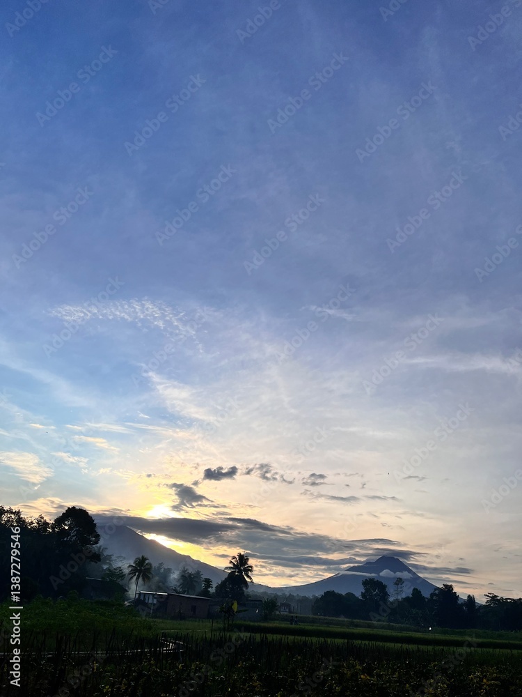 Fototapeta premium bright green rice fields under clear skies