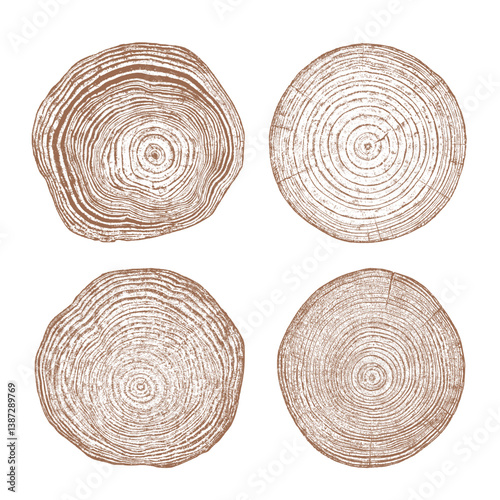 Obraz na płótnie Tree wood texture. Wooden old trunk. Cut timber log. Abstract rings nature pattern. Brown circle stump. Wood cross section. Set vector. w salonie
