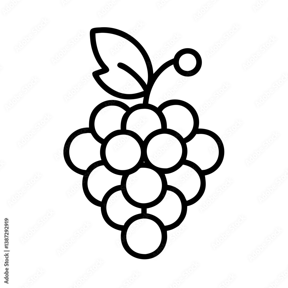 Outline drawing of fresh grapes with leaf for wine making and healthy eating vector illustration art Outline drawing of fresh grapes with leaf for wine making and healthy eating vector illustration art